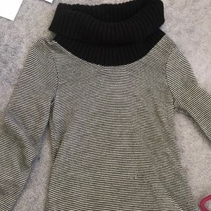 Express turtle neck sweater